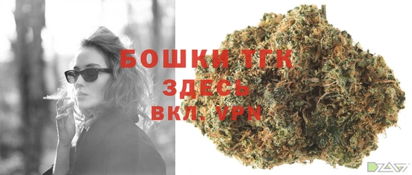 мдпв Киренск