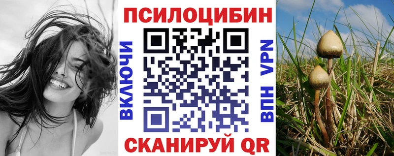 Купить закладки  Горно-Алтайск  Псилоцибиновые грибы ЛСД 